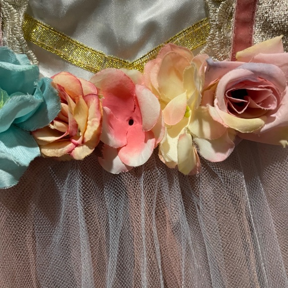 Princess Dress - What a Character Dress - Picture 4 of 4